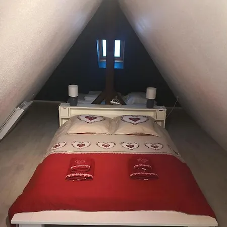 appartement au centre&parking Logement Petite Venise Colmar Extérieur photo